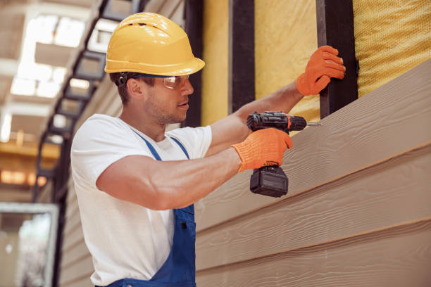Best Siding Painting and Refinishing  in Duncan, OK